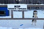 К Деду Морозу за Можай! К Деду Морозу за Можай!