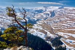 Рождество в Адыгее: снега Лаго-Наки. Краснодар - Майкоп - Кавказский биосферный заповедник - Большая Азишская пещера - плато Лаго-Наки. Рождество в Адыгее: снега Лаго-Наки. Краснодар - Майкоп - Кавказский биосферный заповедник - Большая Азишская пещера - плато Лаго-Наки.